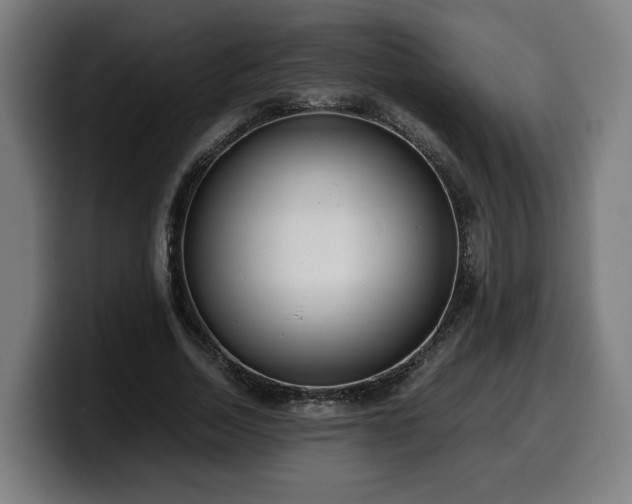 X0000099930730200805301157