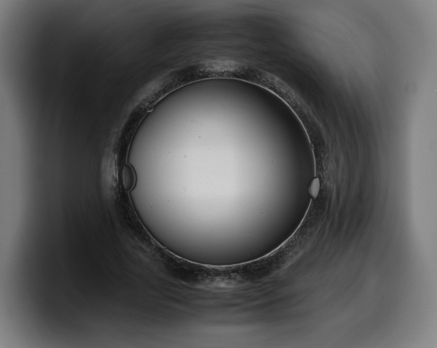 X0000099930731200805301157