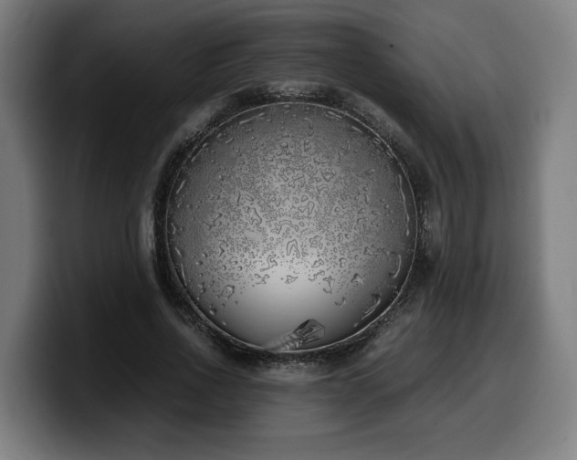 X0000099930734200805301157