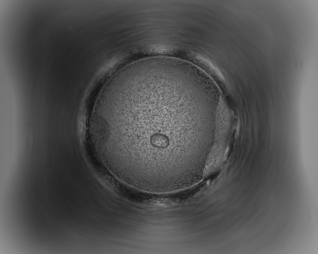 X0000099930736200805301157