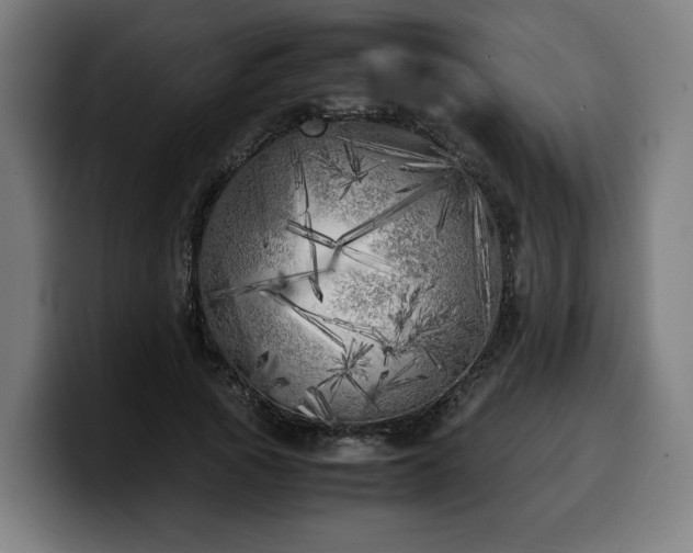 X0000099930737200805301157
