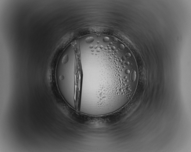 X0000099930738200805301157