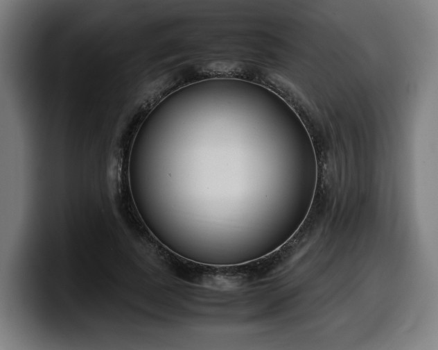 X0000099930739200805301157