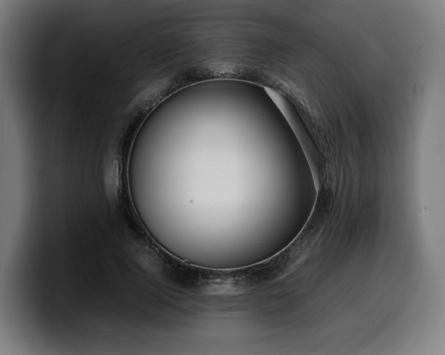 X0000099930740200805301157