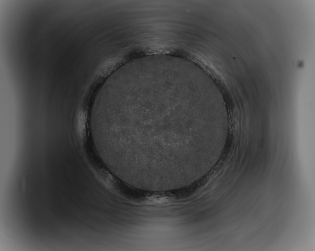 X0000099930742200805301157