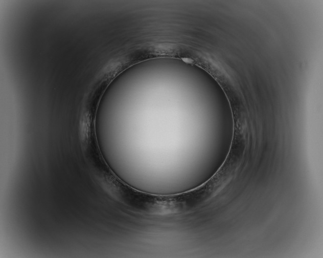 X0000099930744200805301157