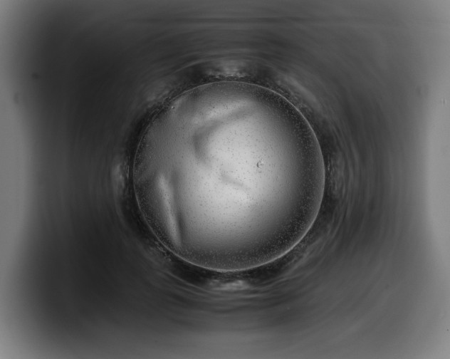 X0000099930747200805301158