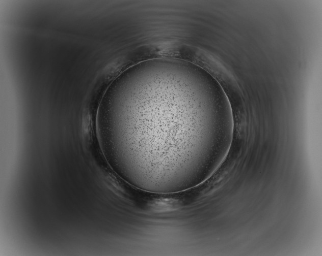 X0000099930748200805301158