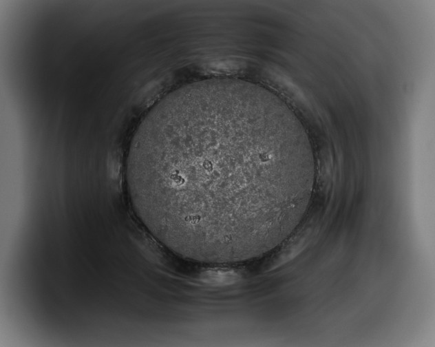 X0000099930749200805301158