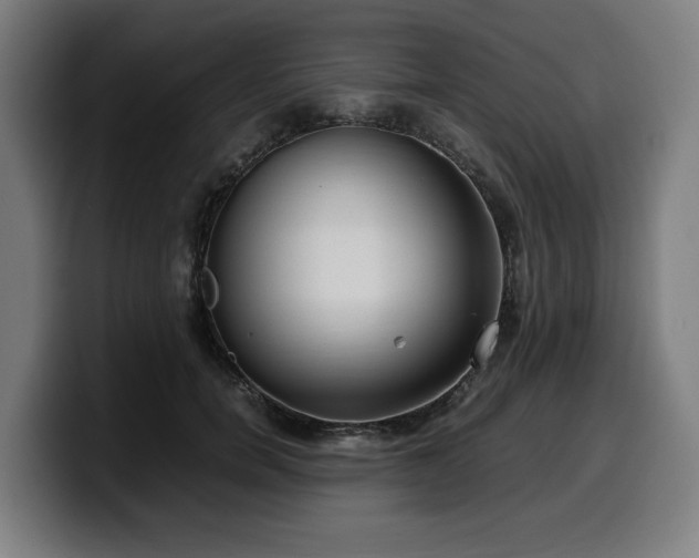 X0000099930750200805301158