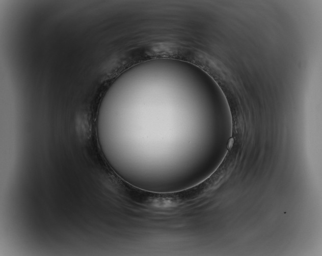 X0000099930751200805301158