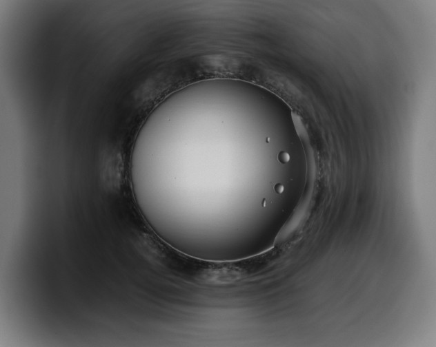 X0000099930752200805301158