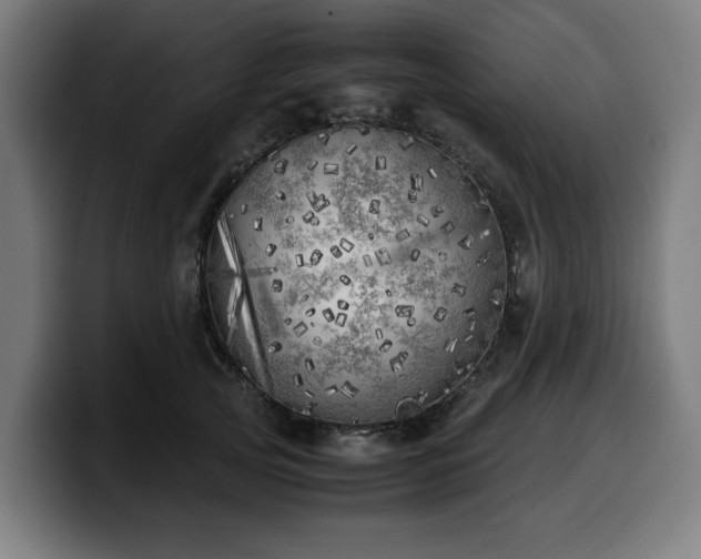 X0000099930753200805301158