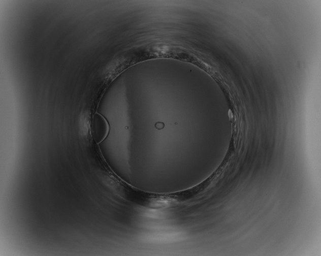 X0000099930754200805301158