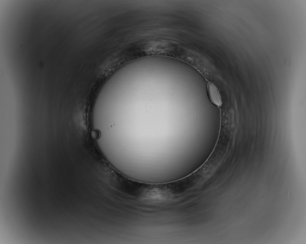 X0000099930755200805301158