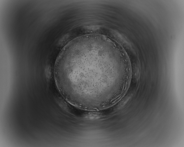 X0000099930758200805301158