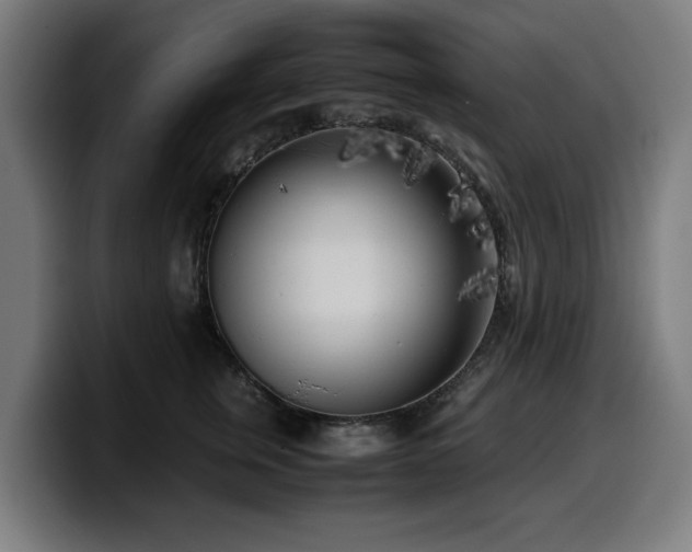 X0000099930759200805301158