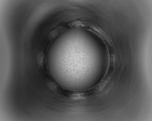 X0000099930760200805301158