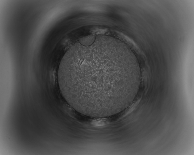 X0000099930761200805301158