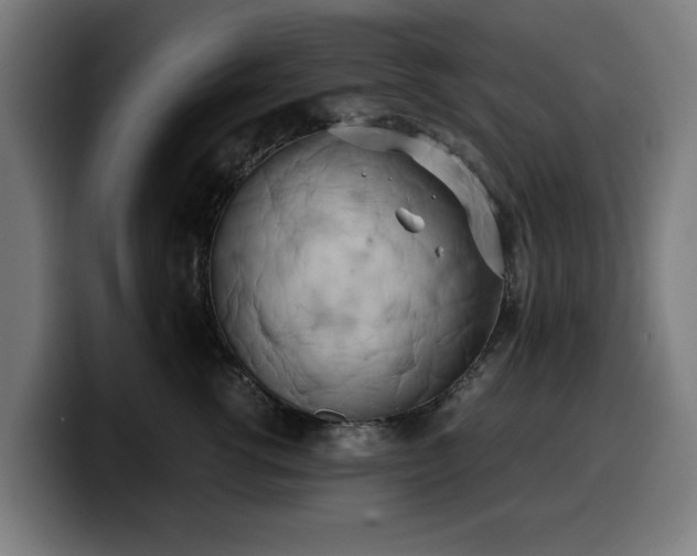 X0000099930762200805301158