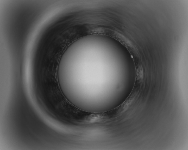 X0000099930764200805301158