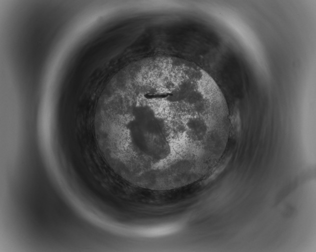 X0000099930765200805301158