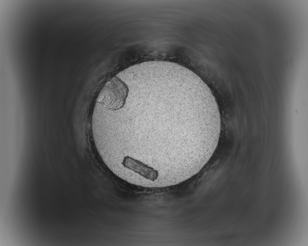 X0000099930769200805301157