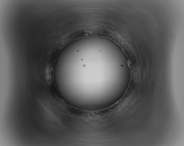 X0000099930770200805301157