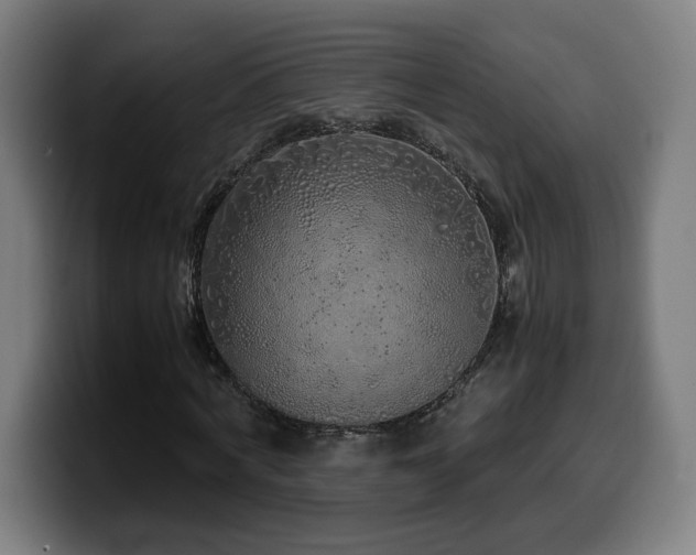 X0000099930772200805301157