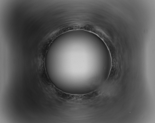 X0000099930773200805301157