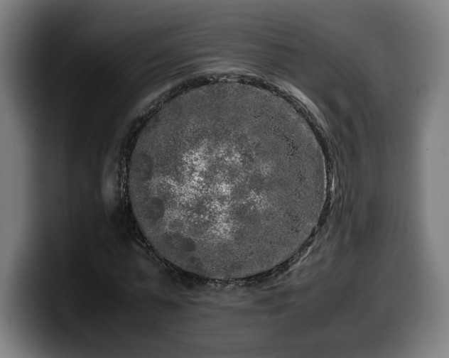 X0000099930775200805301157