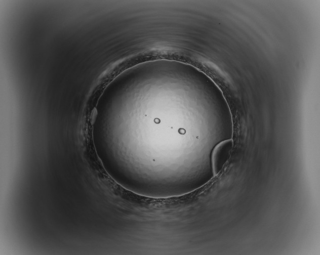 X0000099930776200805301157