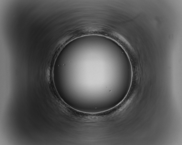 X0000099930777200805301157