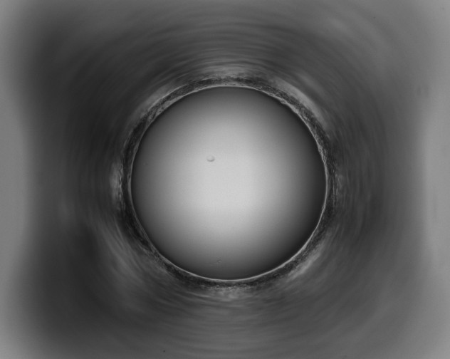 X0000099930778200805301157