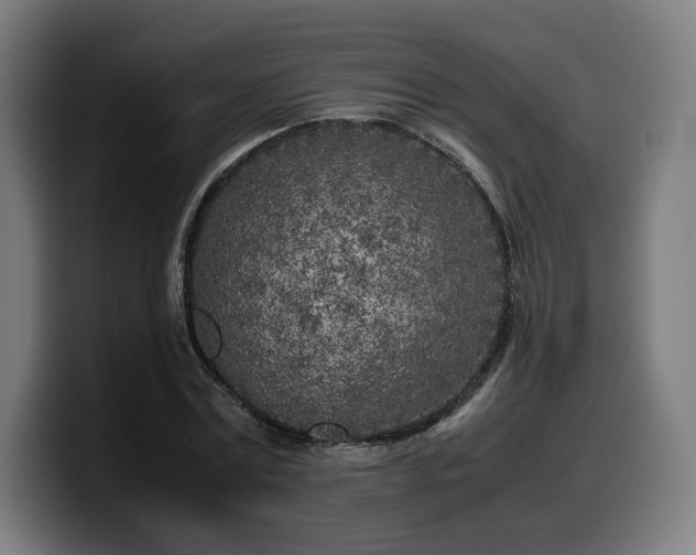 X0000099930779200805301157