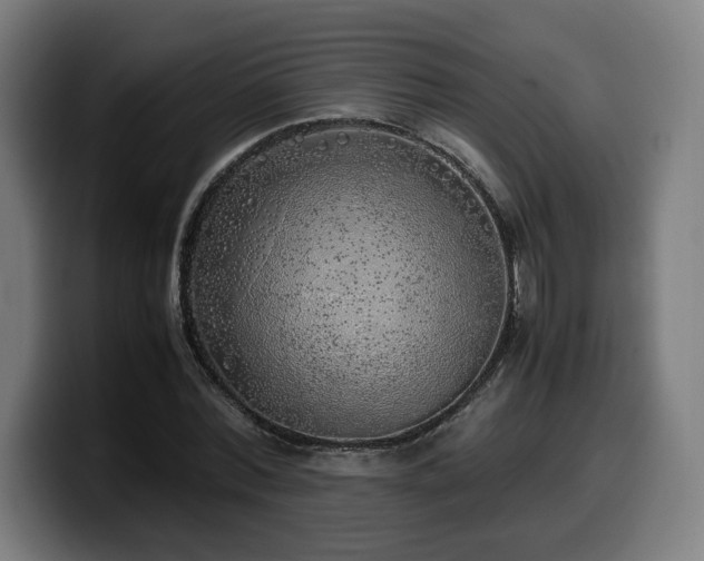 X0000099930780200805301157