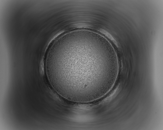 X0000099930782200805301157