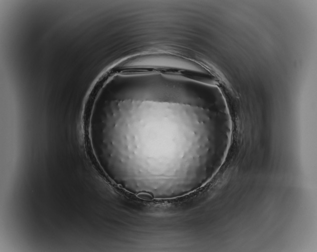 X0000099930784200805301157