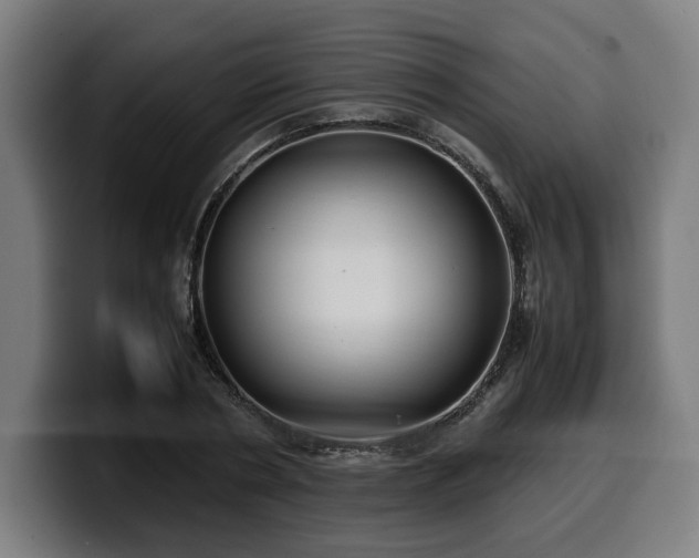 X0000099930786200805301157