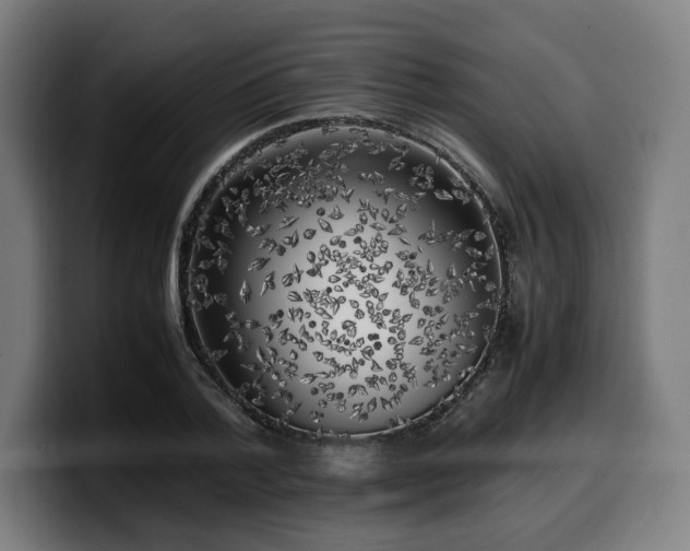 X0000099930788200805301157
