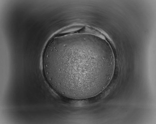 X0000099930791200805301157