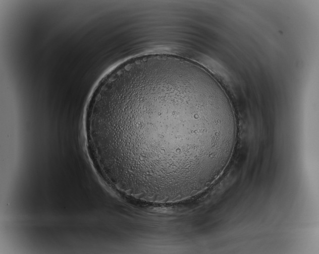 X0000099930792200805301157