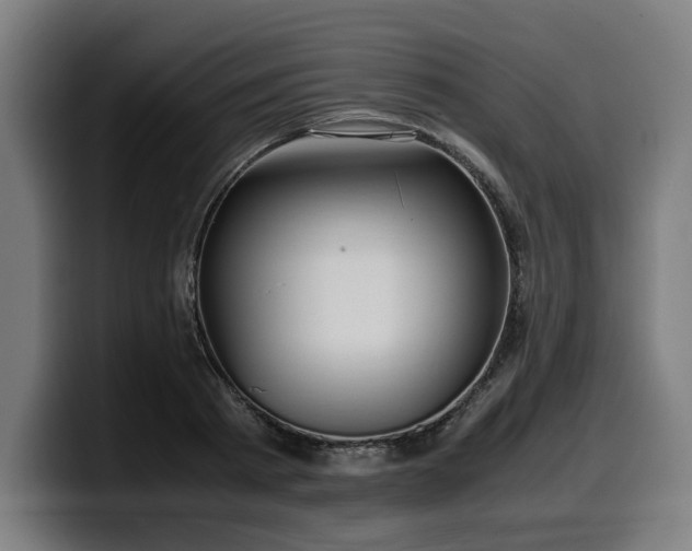 X0000099930793200805301157