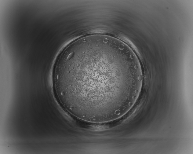 X0000099930795200805301157