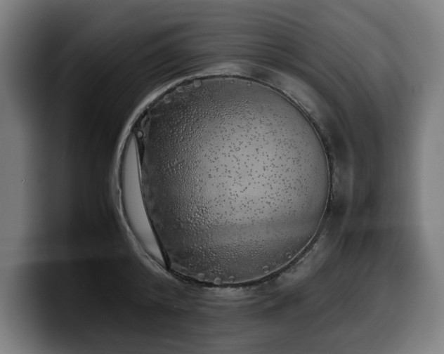 X0000099930800200805301157