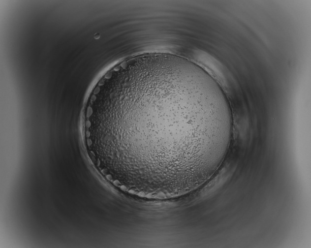 X0000099930804200805301157