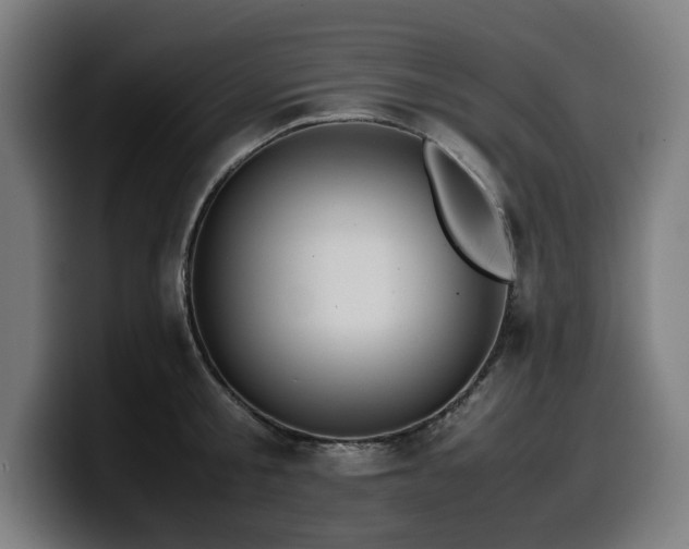 X0000099930805200805301157