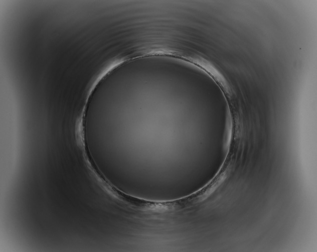 X0000099930806200805301157