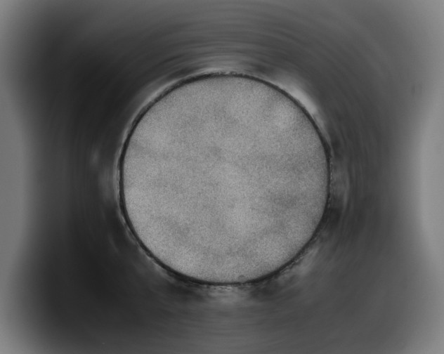 X0000099930807200805301157