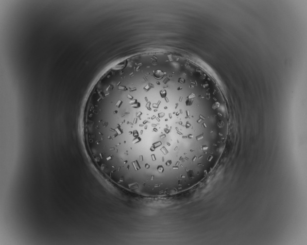 X0000099930811200805301157